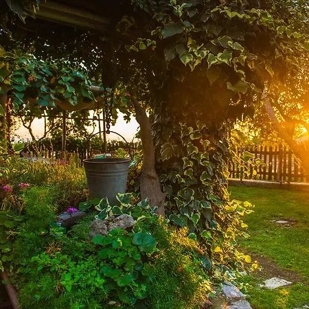 Mare E Monti Farma *