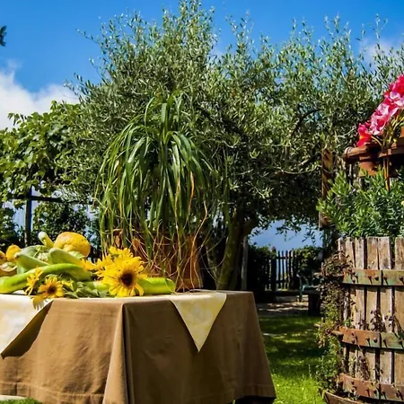 Farma Mare E Monti *