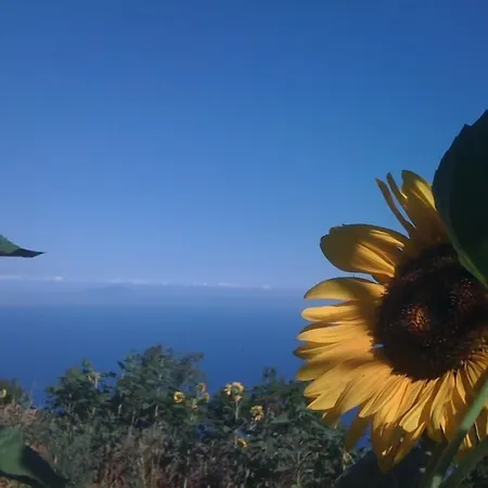 Farma Mare E Monti *