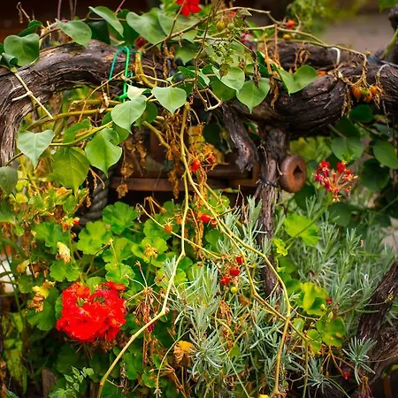 Mare E Monti Agerola