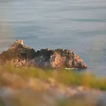 Vakantieboerderij Mare E Monti